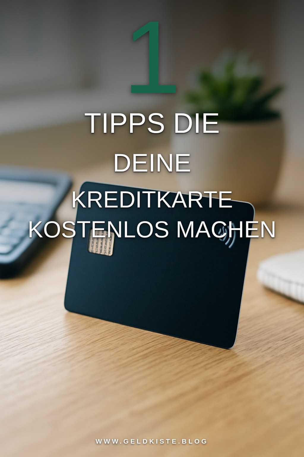 Mehr Empfehlungen aus dieser Kategorie